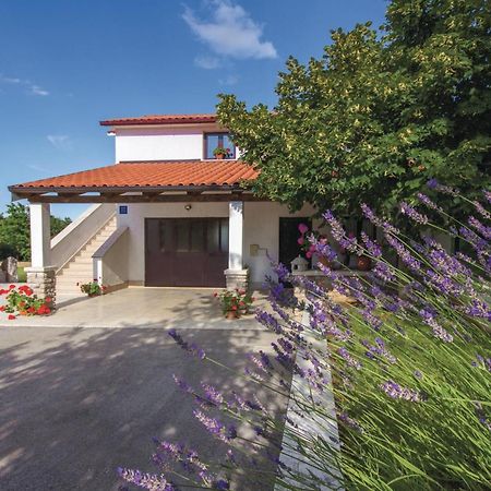 Amazing Apartment In Pazin With Wifi Katun Lindarski Exterior foto